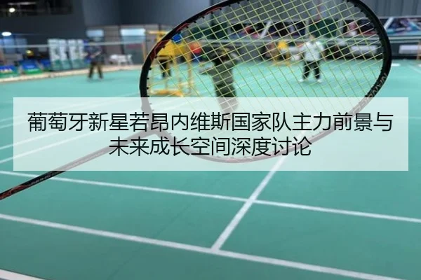 葡萄牙新星若昂内维斯国家队主力前景与未来成长空间深度讨论