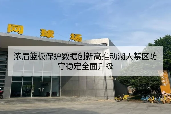 浓眉篮板保护数据创新高推动湖人禁区防守稳定全面升级